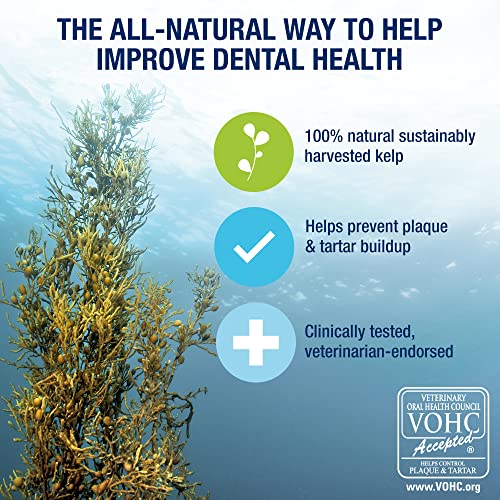 ProDen PlaqueOff Powder for Pets - Cat & Dog Breath Freshener - Plaque & Tartar Remover for Pet Oral Care - Supports Healthy Mouth for Dogs - 60g - Image 5