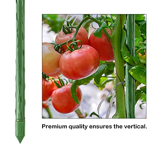 FEED GARDEN Garden Stakes 36 Inch 3ft 25 Pack, Sturdy Plant Metal Sticks Support, Plastic Coated Plant Stakes, Tomato Stakes, Beans, Trees - Image 5